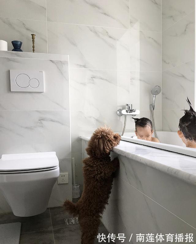 柠檬酸|如果你不是勤快人,装修时需注意这12处,将来家务活能少一半