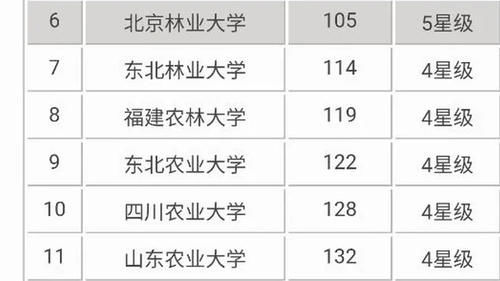 川农同寝六人考研纷纷上岸，成功背后是六人长期“三点一线”学习