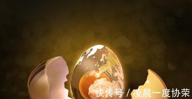 鞣酸|一天吃一个鸡蛋,对身体是好是坏看看营养专家是怎么说的