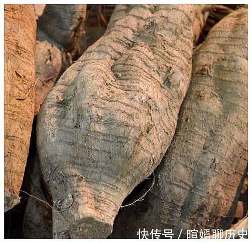 雌激素|女人再节俭6种碱性食物也要吃,补充天然雌激素,防早更显年轻