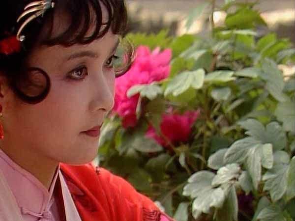  一心|薛姨妈一心要和贾府联姻，为何贾母提亲，薛姨妈却婉拒？