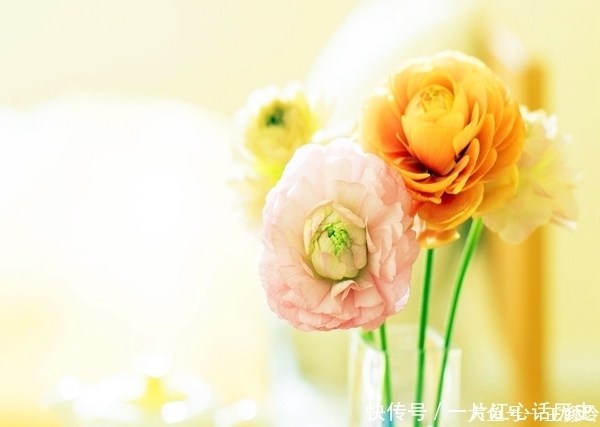 眉头|眉头皱纹怎么去除 ，笑看世间变迁 ，而你仍旧青春常在！