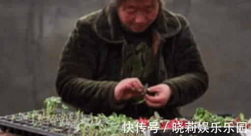 豆芽|世界上有毒的三种蔬菜，个个伤肝，你却经常端上桌！