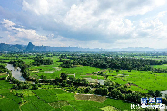 绿水青山鹭鸟|广西桂林：绿水青山鹭鸟来