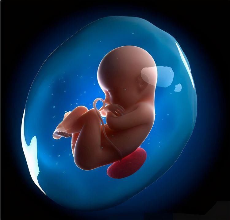 妈妈们|孕妈妈“偷吃”雪糕，胎宝会有什么反应？他们的表现有点“萌”