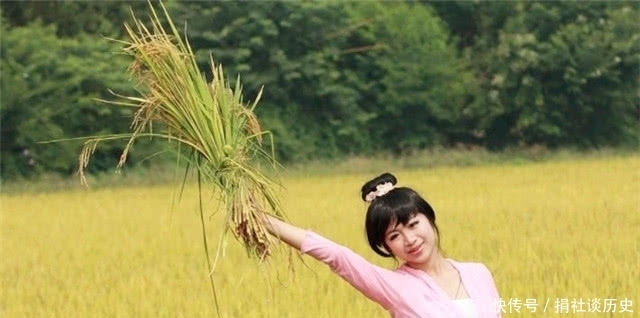 韭绿|曹雪芹的理想国:一畦春韭绿,十里稻花香