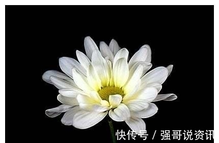 生肖鸡|2天后，旧爱离去，月老牵线，依然等待，彼此温暖，无话可说