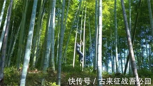 技艺|竹海飞人8岁爬竹子,年过半百仍在竹上行走,今无人传承境地尴尬