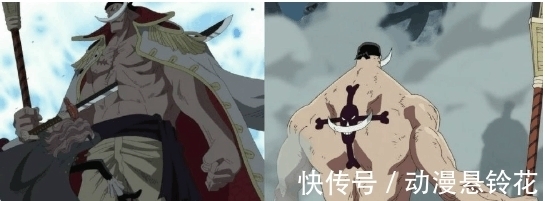 索隆|海贼王: 最明显的9处穿帮镜头, 白胡子那个, 真不是在侮辱智商吗