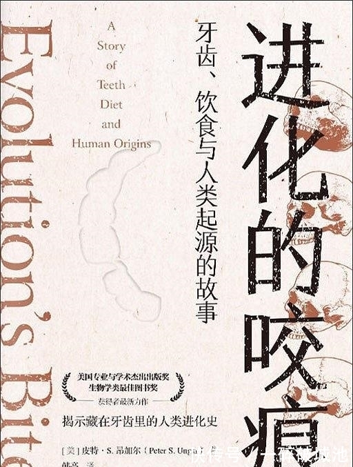 基本粒子!跟着科学读读闲书 | 世界上最聪明的脑袋,将引力描绘得很浪漫