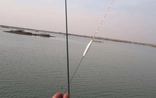 晚秋钓鱼,这“调钓秘诀”才最关键,现在用它准没错