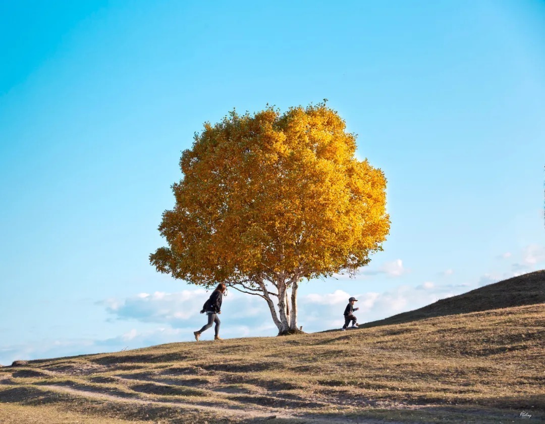 心里的声音|最高级的家庭教育,是教会孩子这8件事