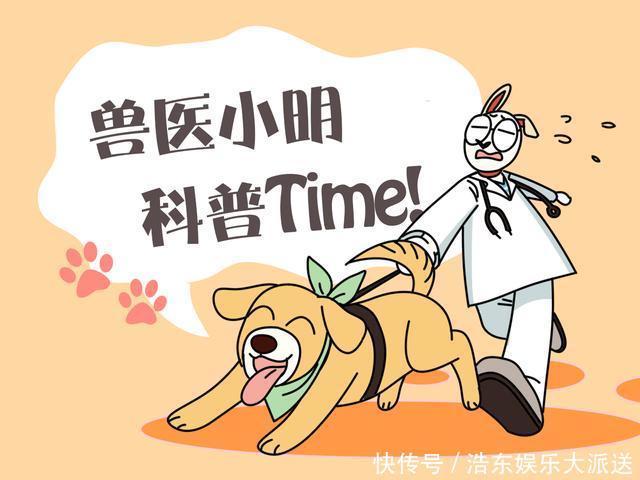 堵车时两只狗把头探出窗外,还以为在示好呢,看清后发现竟是炫耀