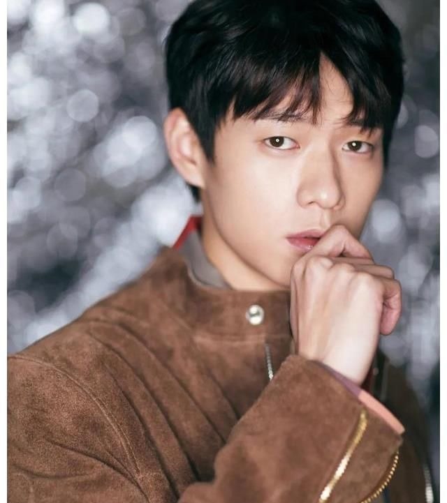 超有趣~小狮子的脑袋,变成了方形,要怎么变回去呢