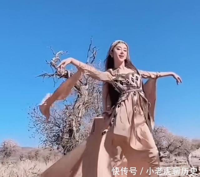 西夏的兴起,李元昊只是站在前人肩膀上而已!