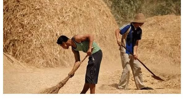 农村的年轻人如果没有一技之长，能否有翻身的机会？