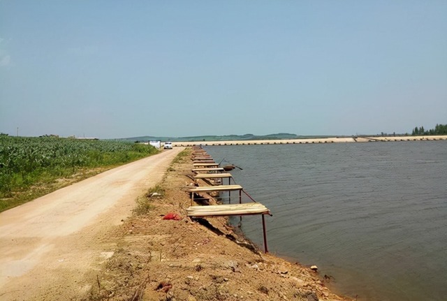 鱼塘里投放了樟脑丸,鱼不开口怎么办