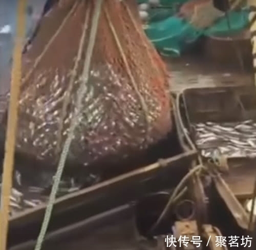 渔民误以为是大丰收,松开渔网之后,大家都表示要跳船