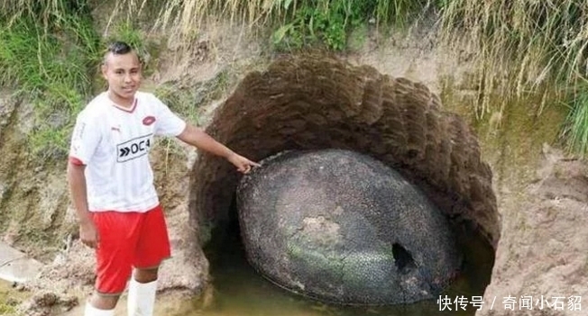 奇怪|小伙野外“钓鱼”,发现一个洞穴很奇怪,走进一看,值多少钱啊?