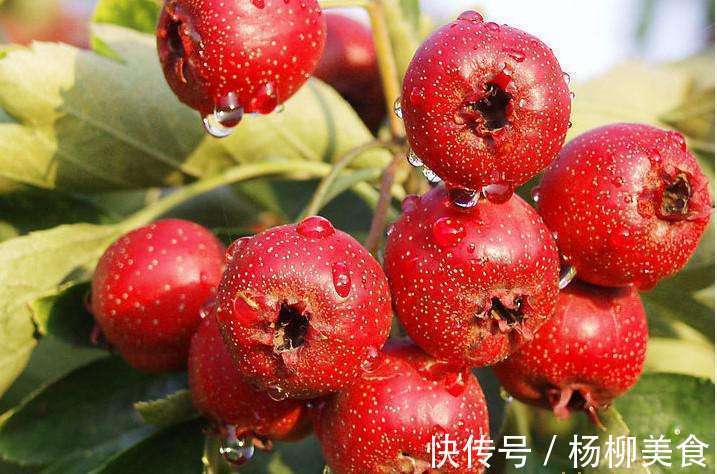 有机酸|红枣山楂能补血别被骗了，最佳补血食物还得是它们