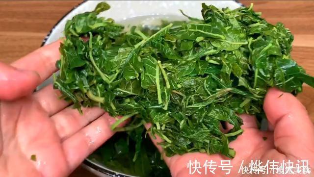 香椿饺子|夏天,用它包饺子,比韭菜茴香鲜,不花1分钱,我家一周吃3次,香