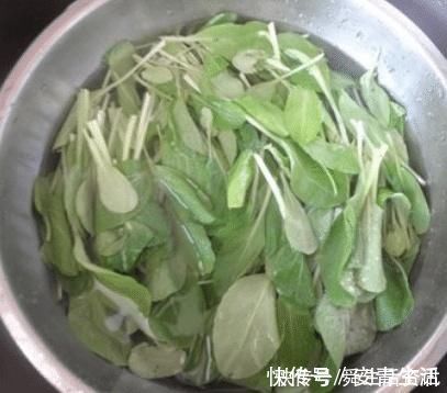 天气冷，教你一道网红早餐，几分钟就搞定，营养美味，老少皆宜