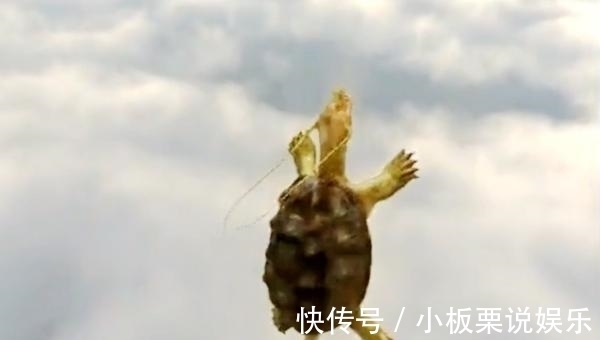 龟灵圣母@封神中有个大妖, 居然敢追杀圣人, 圣人还得靠暗算才能拿住他