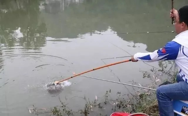 冬钓鲫鱼“三铁律”,一项不遵守,3天都钓不到一条鱼!