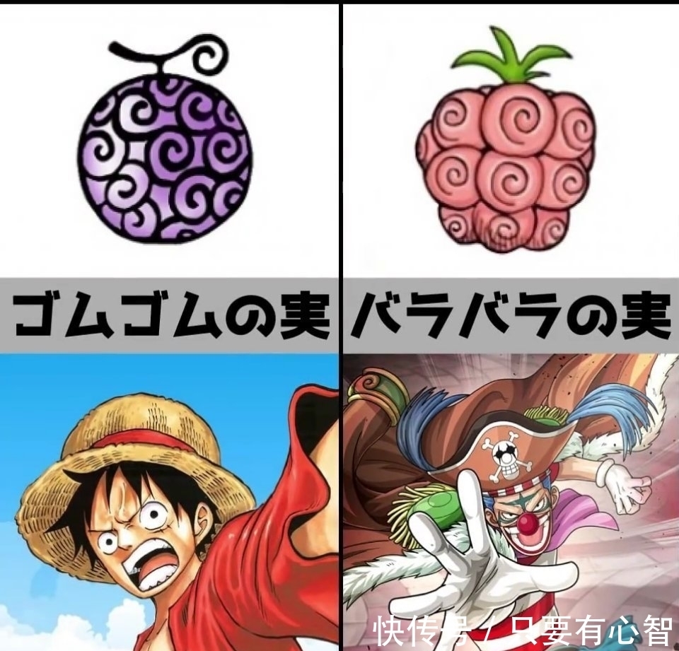 海贼王|《海贼王》恶魔果实,你最想拥有哪种?花花果实最漂亮