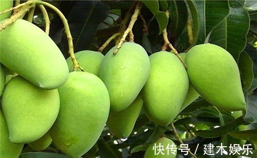 女性|女性不想显老,常吃4种食物,营养丰富,滋补身体,改善睡眠