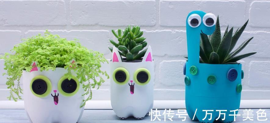 植株|如何兼顾养花和环保?改造下塑料瓶,用着乐趣多又省钱,效果好
