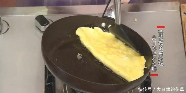 吃主食,不怕胖!不长肉的主食来了→