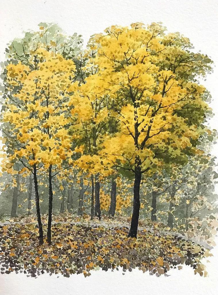  树叶|点、点、点，水彩画树就是这么简单！