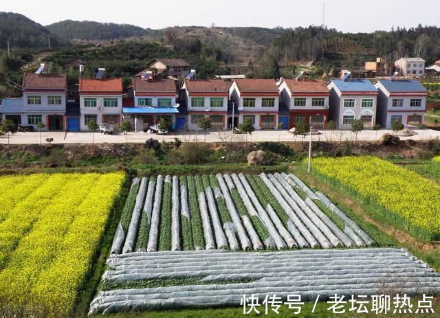 建设|小产权房会“消失”和农村宅基地有什么关系