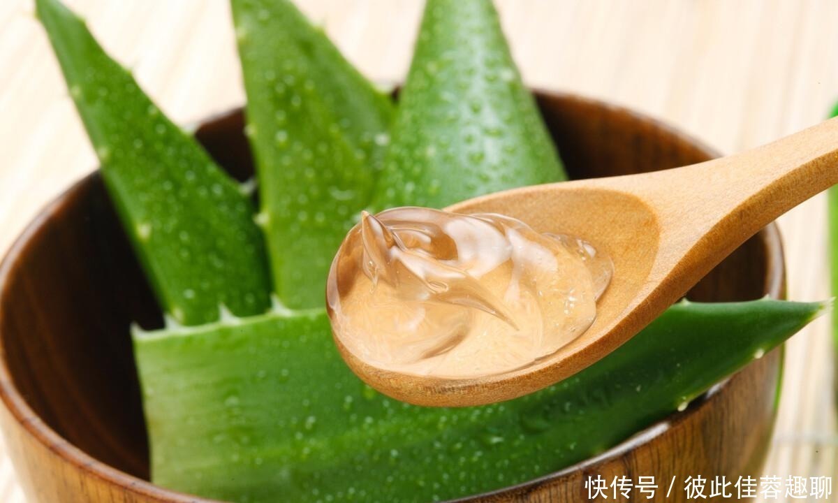 芦荟胶究竟是何方神圣,真的那么万能吗?这两款效果最明显