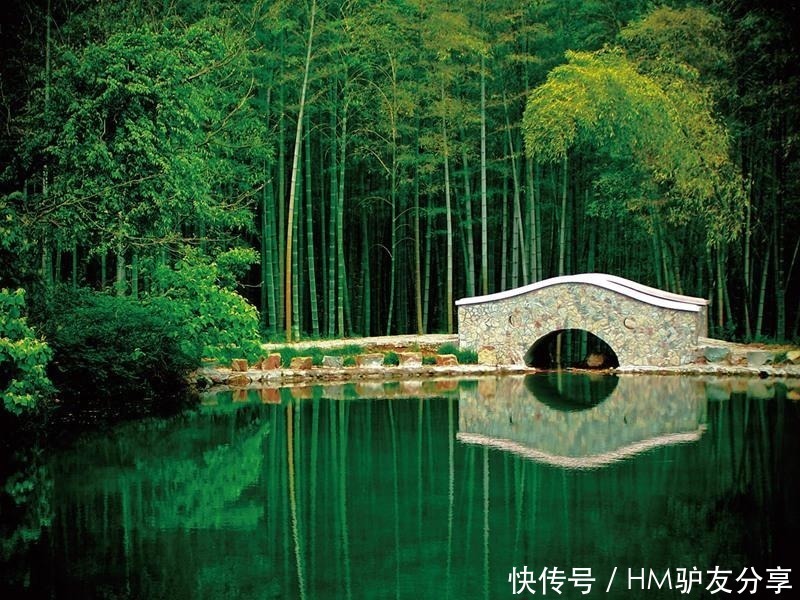 中国最美竹海：拥有近4万亩翠绿的竹林，常年青翠就在苏皖边界