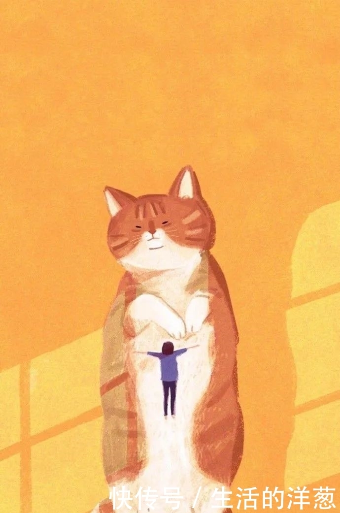 配不上|原来的壁纸已经配不上你的iPhone12了,快来换新的猫咪壁纸