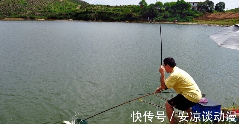 钓鱼,饵料用腥味还是香味好?(建议收藏)