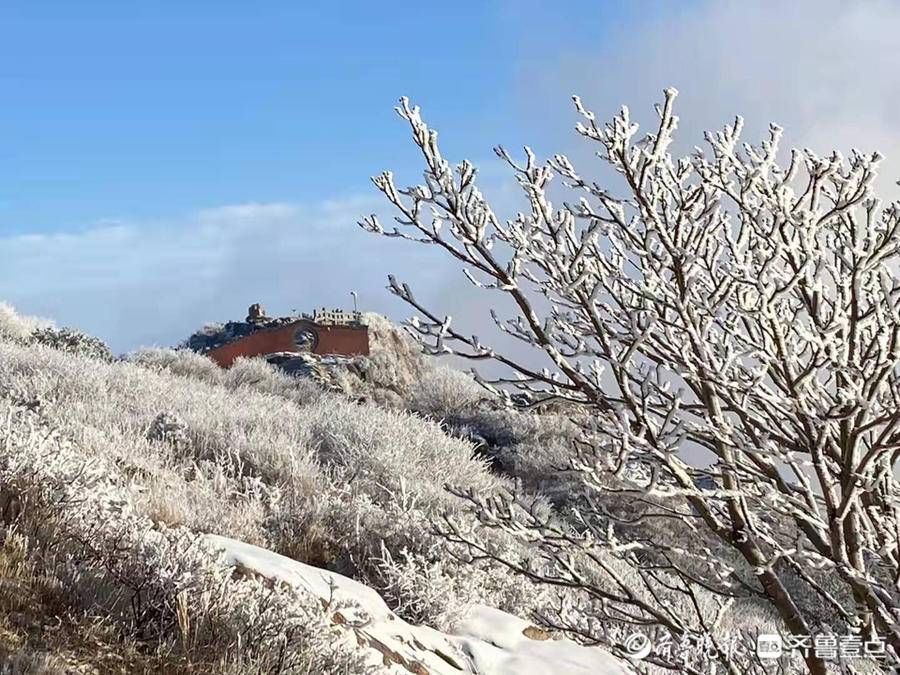 岱顶|壹图集丨腊八泰山迎瑞雪，岱顶秒变“琼楼玉宇”