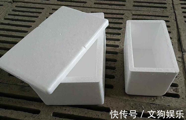 养殖|总用泡沫箱养花种菜，好不好听听过来人怎么说