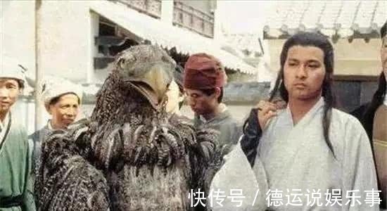 杨过&神雕熬死独孤求败,它还打算继续熬死杨过,神雕寿命为何这么长?