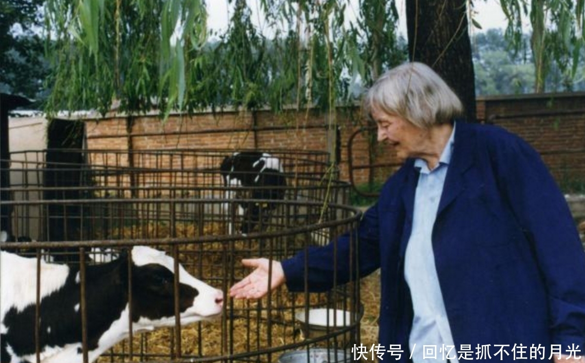 她本是美国物理科学家,曾参与研制原子弹,后来却跑中国专注养牛