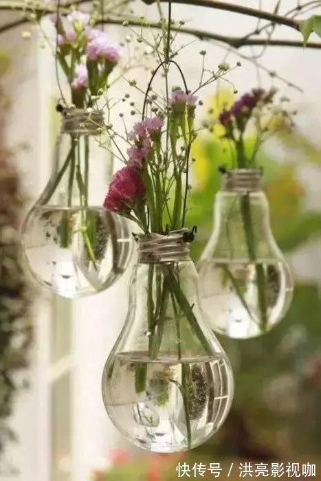 神器|别再花钱买普通花盆了,你意想不到的种花神器!