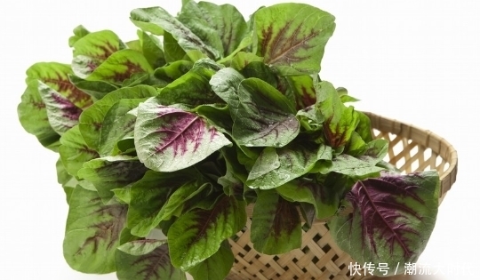 长寿菜|它是农村最便宜的长寿菜,效果比人参还好,你喜欢吃吗?