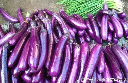 茄子|吃完茄子之后,别再食用此种食物,为了身体健康,再馋也要忍