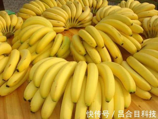 魔芋粉|什么食物能越吃越瘦营养师6种食物排行榜，芹菜却是最后一名