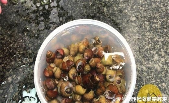 螺丝|才发现,菜刀上圆孔有个厉害用法,现在知道还不晚,太多人收藏了