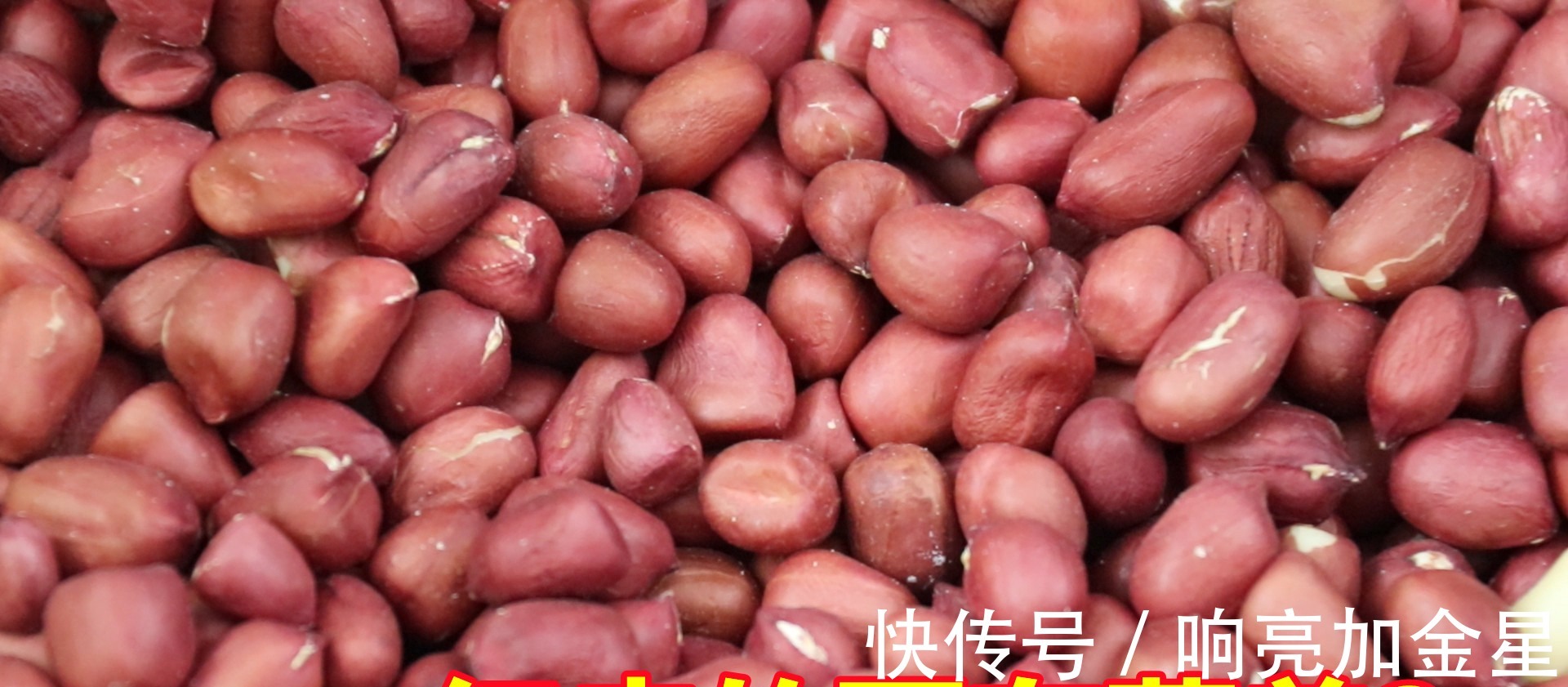 小白点|红皮花生米和白皮花生米，哪一个更有营养好多人不懂，长见识了！