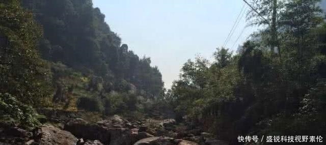 一种只属于山区的溪钓鱼种,如何垂钓特别