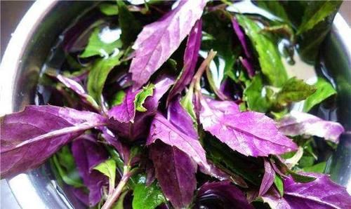 体质|聪明的人都在吃3种食物，营养丰富、改善体质，好处多多！